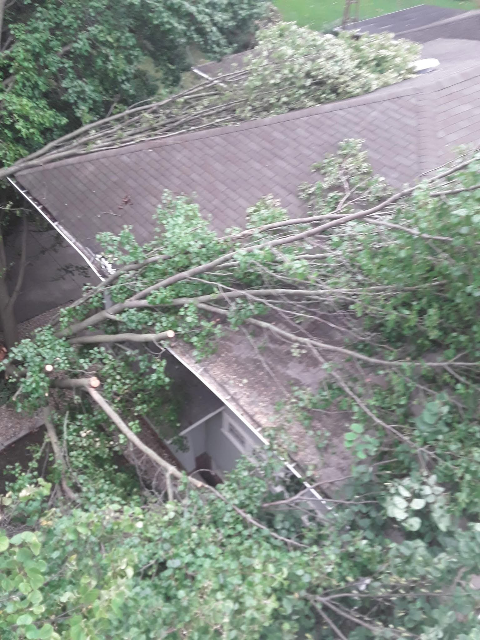 Storm Damage Cleanup