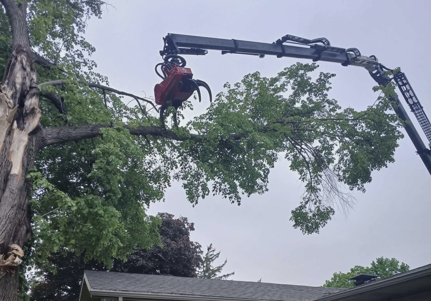 Crane-Assisted Removal