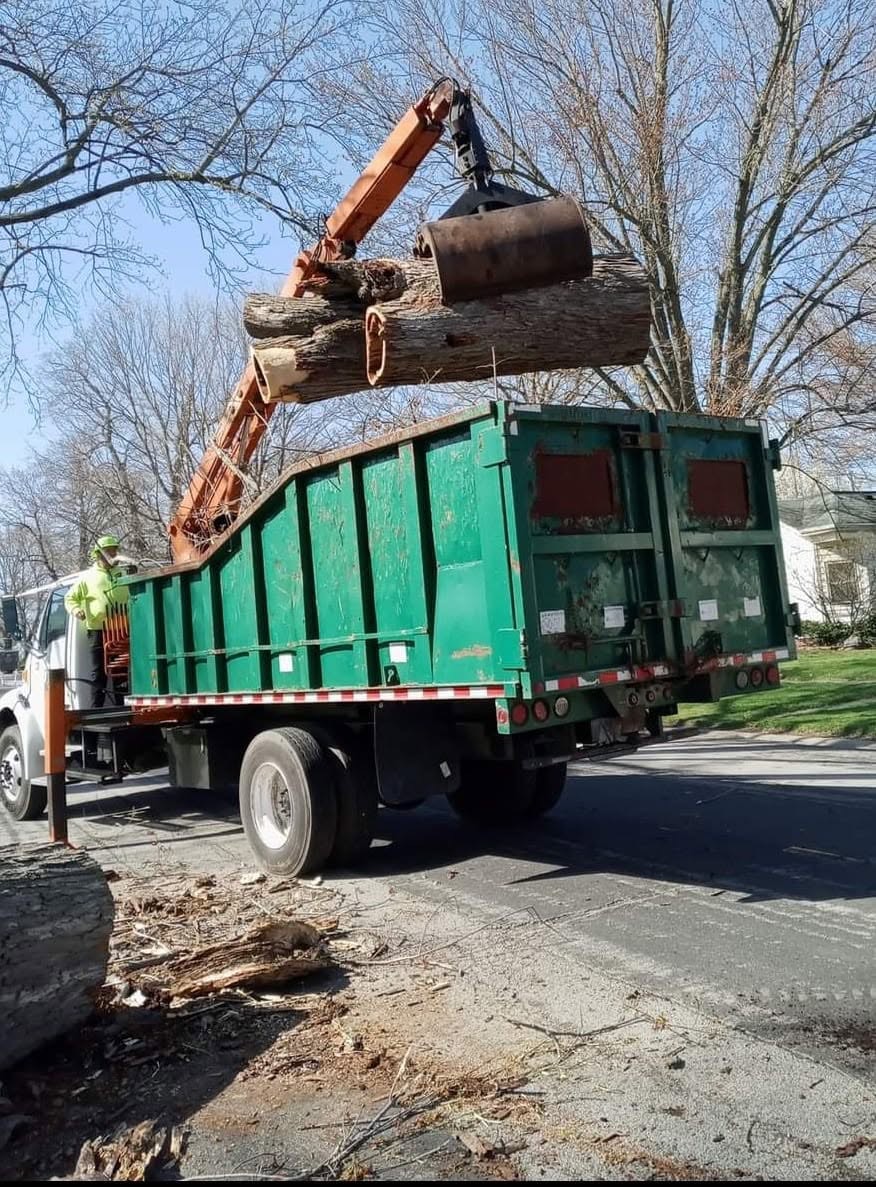 Crane-assisted tree removal from a barn in Central Illinois