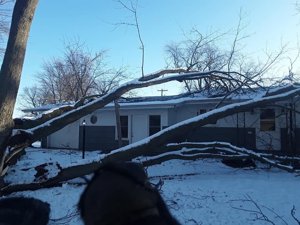 Storm damaged tree on structure