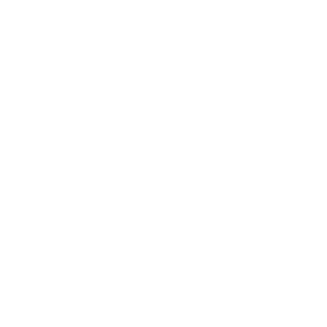 Toilets, Faucets & Fixtures