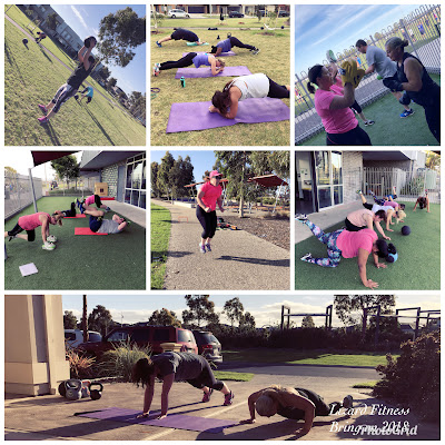 Lizard Fitness