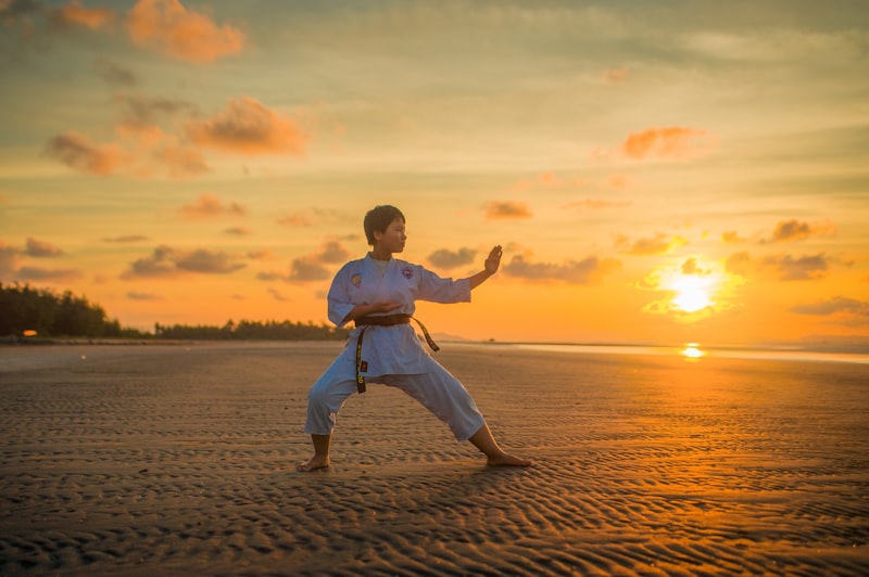 Martial arts school