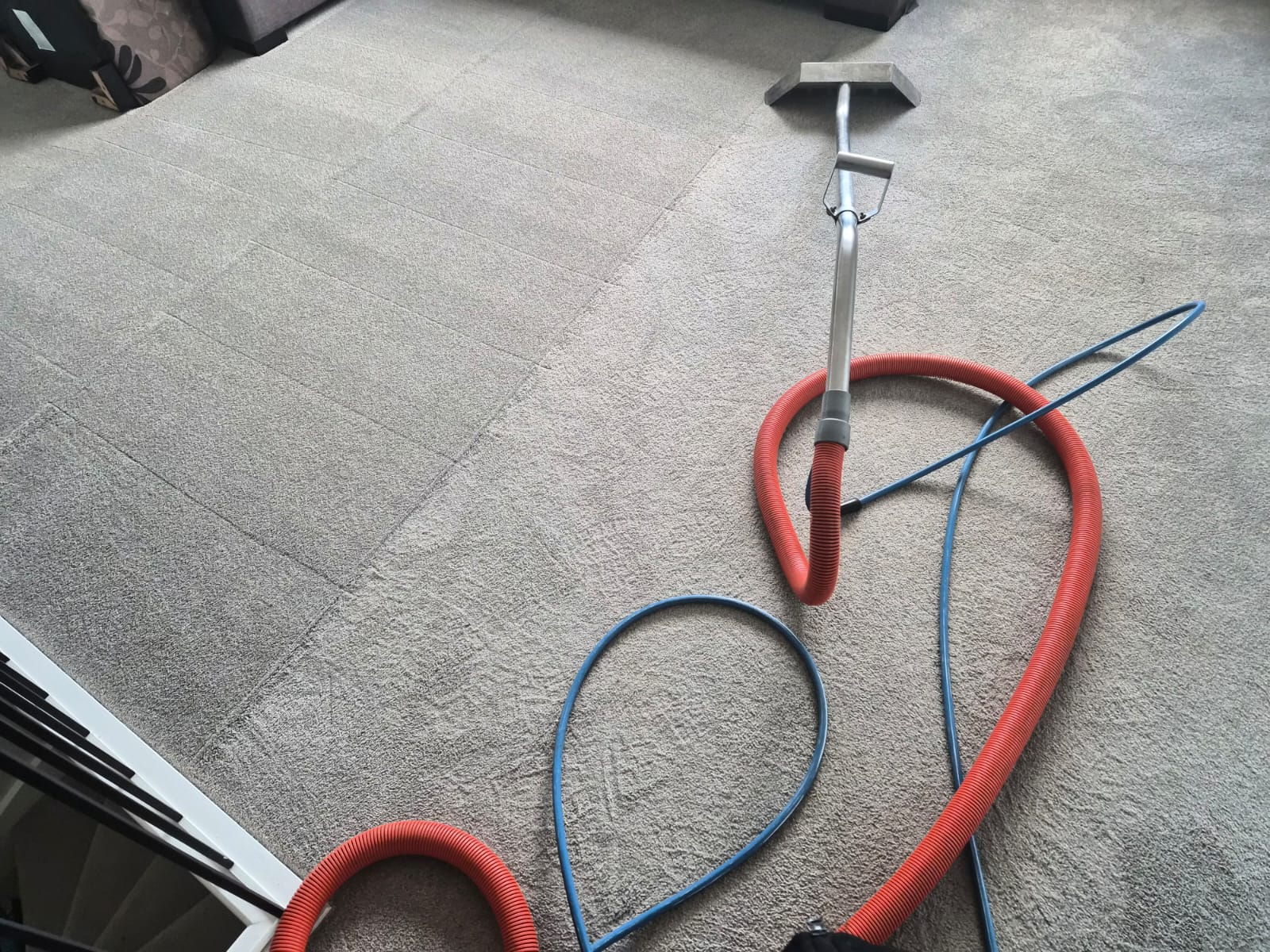 Carpet cleaning hoses and equipment