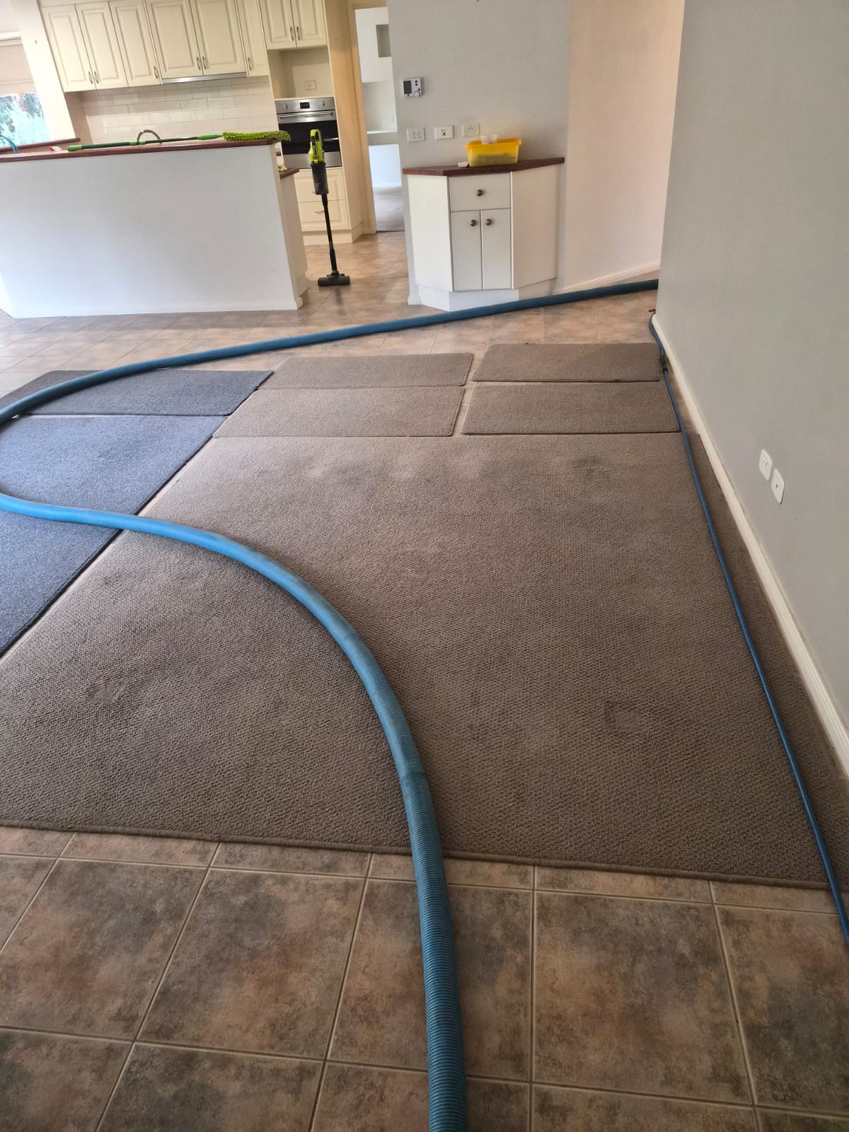 Carpet cleaning in progress with wand