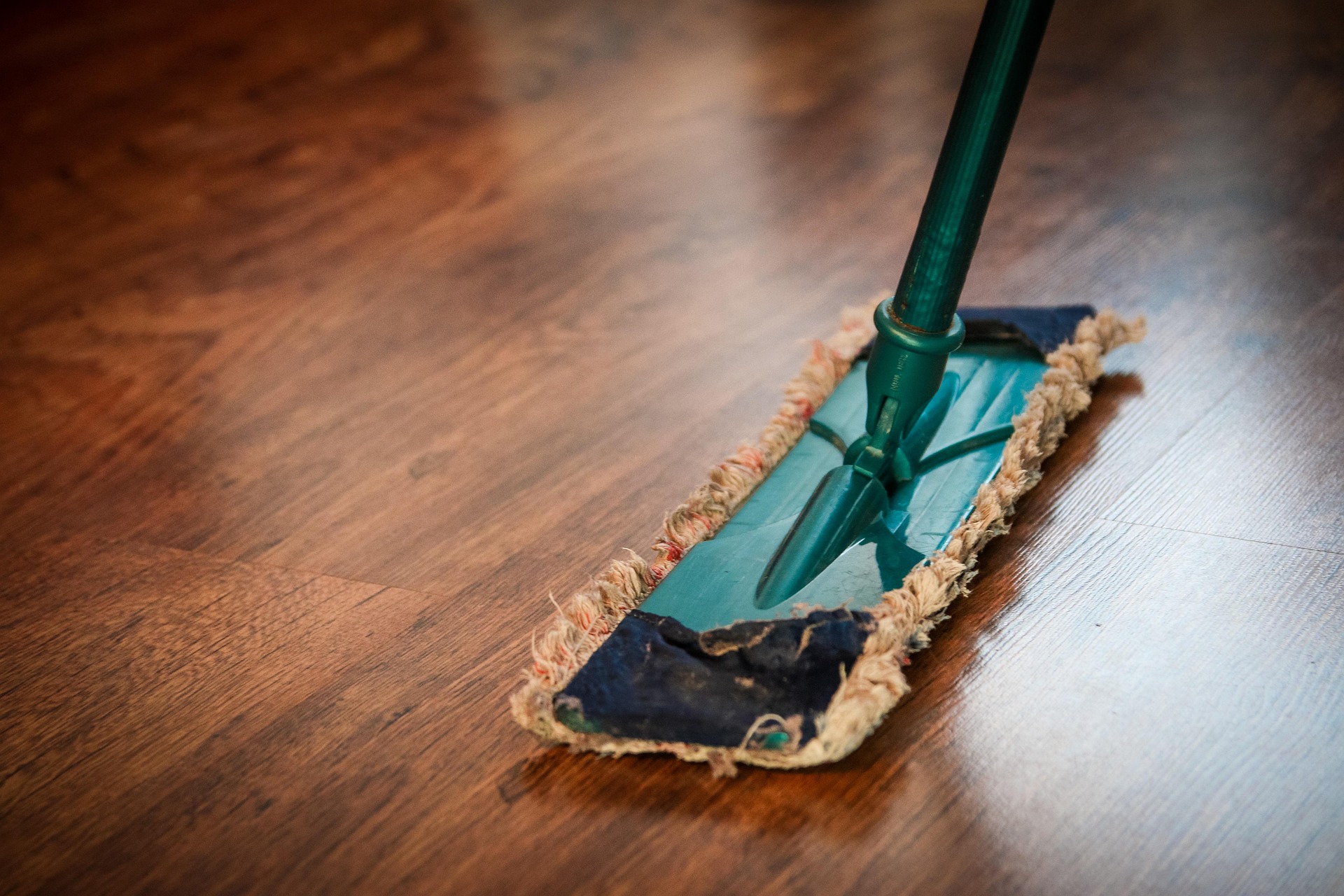 Professional Internal Cleaning Services Brisbane Professional Internal Cleaning Services Brisbane