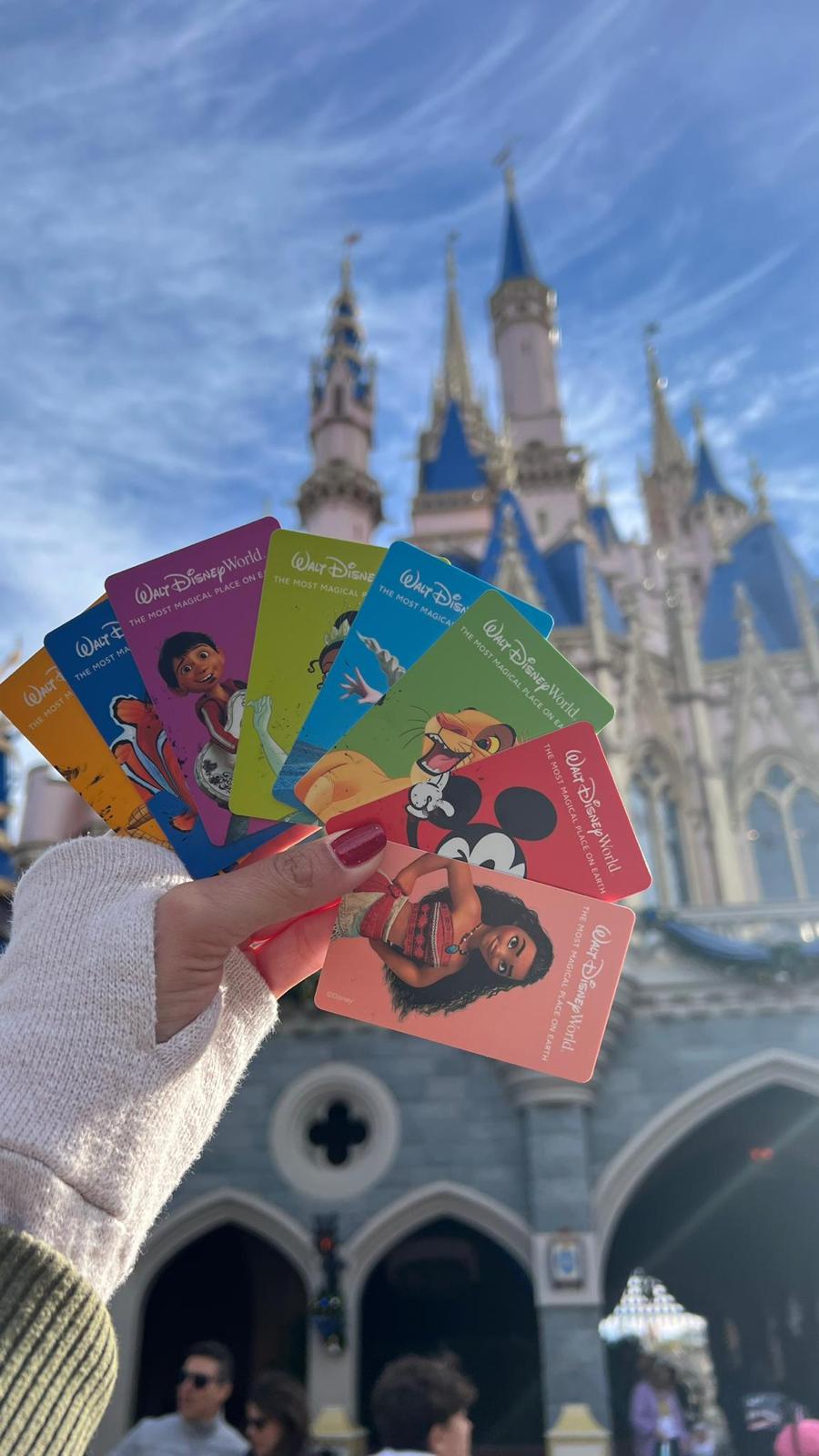 Ingressos para parques e atrações