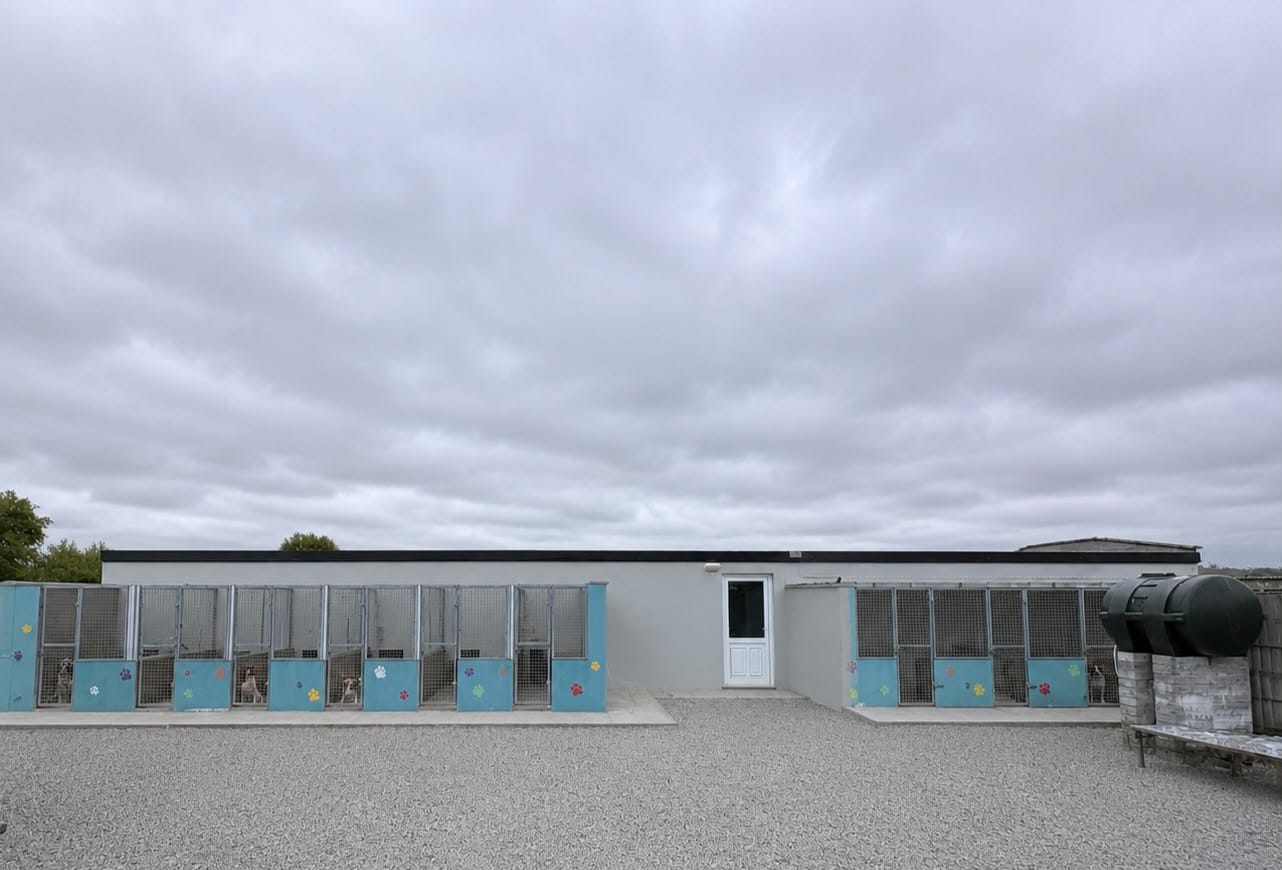 Freshly painted kennels