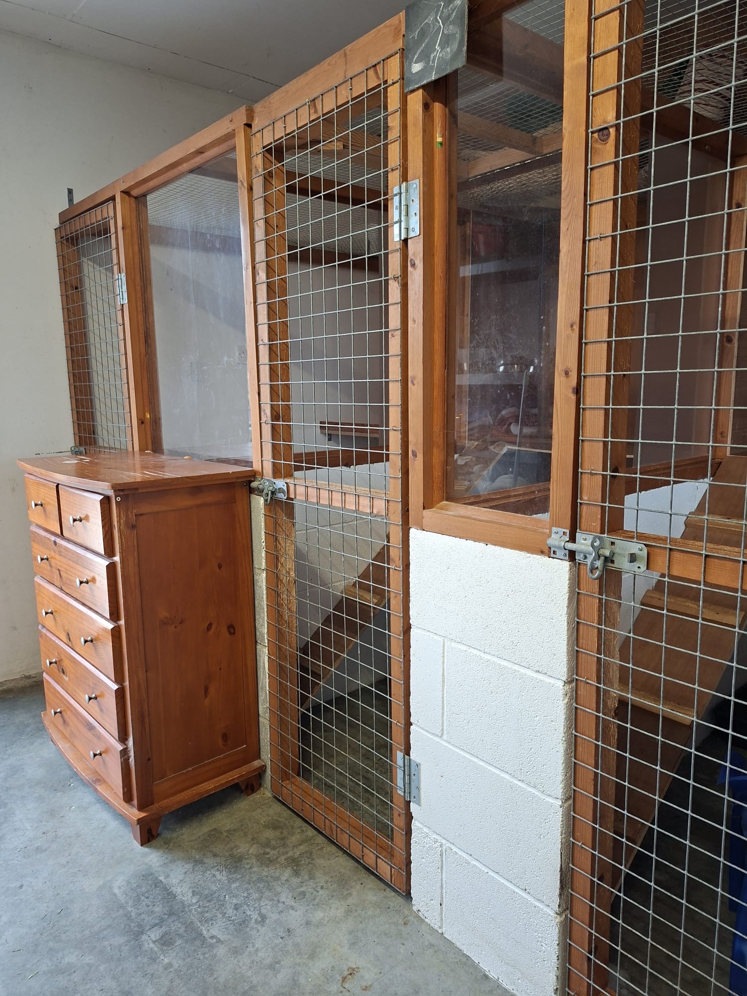 Spacious Cattery Suites