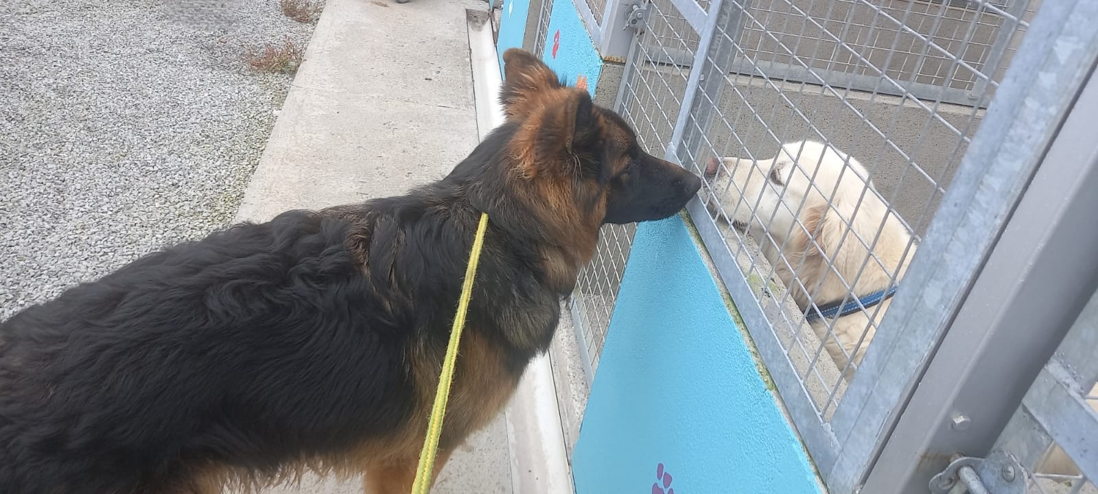 Making friends