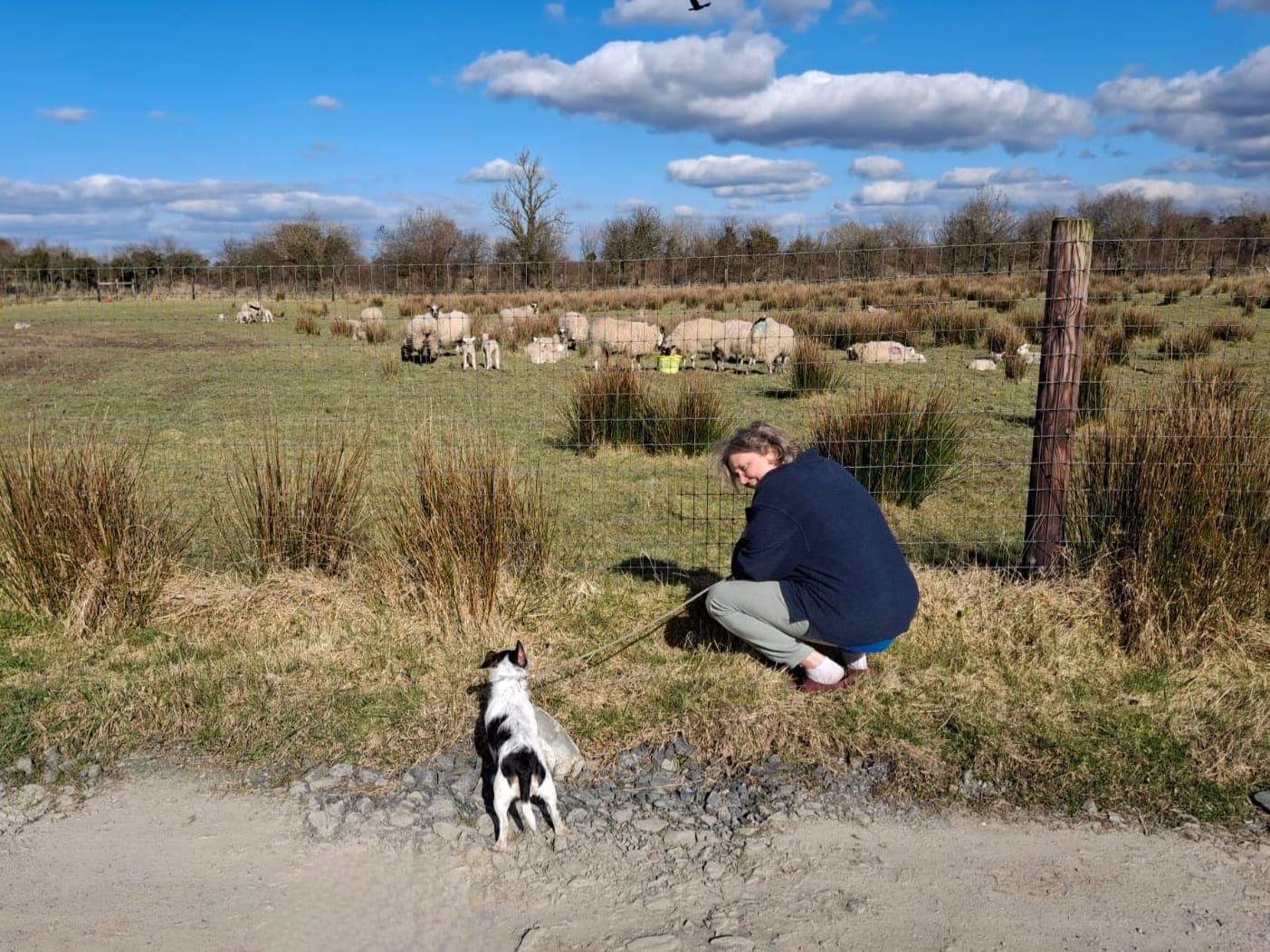 Walking near the sheep