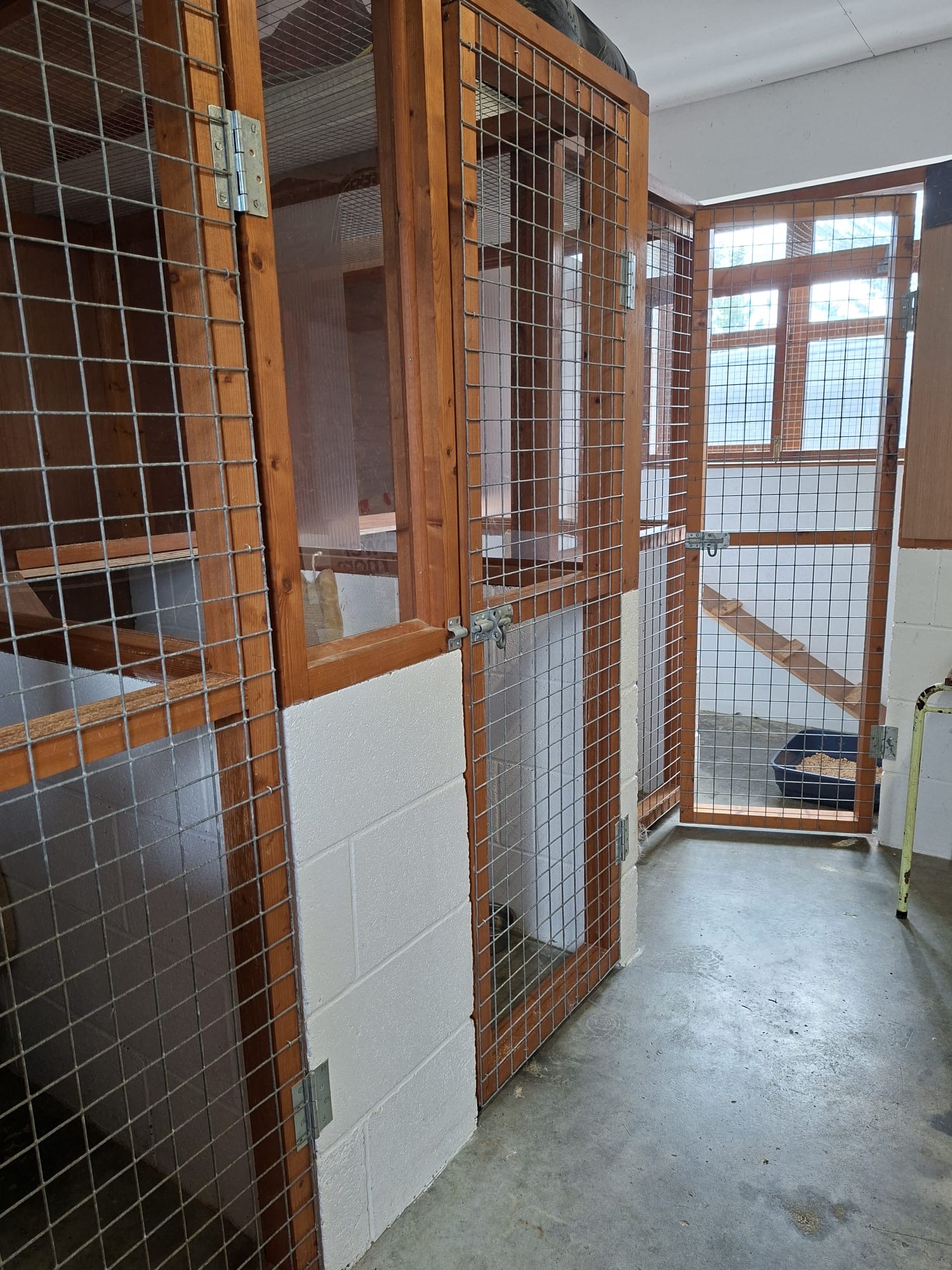 Secure & Cozy Cat Condos