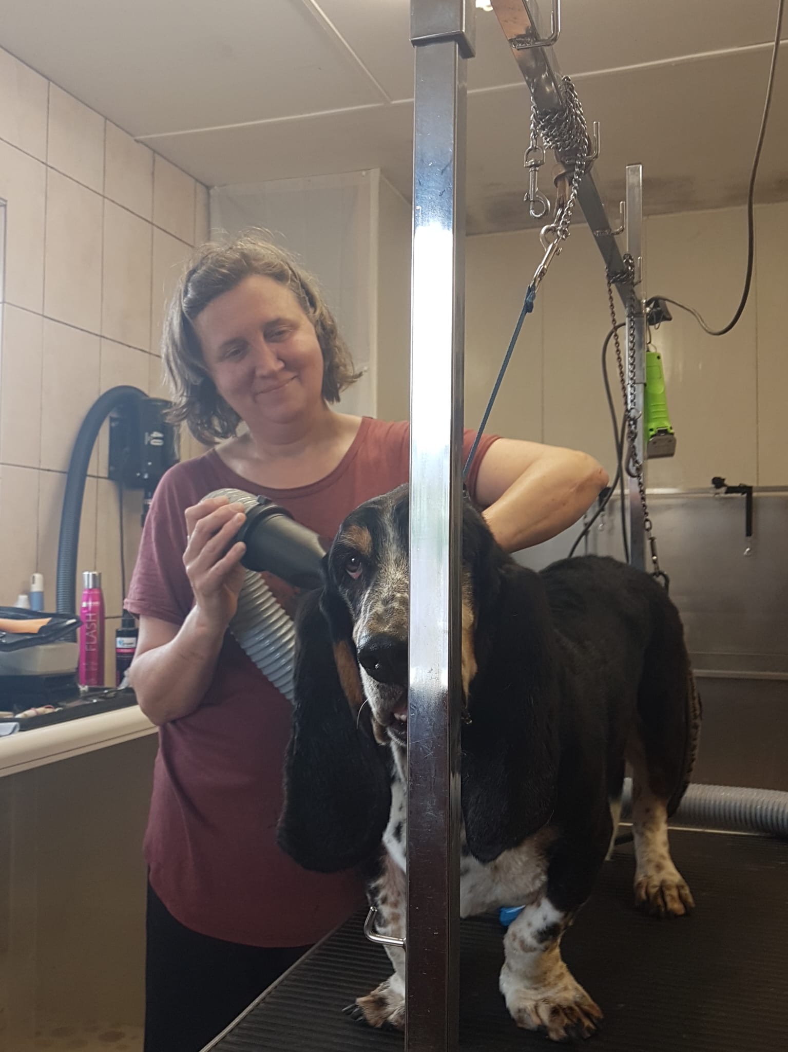 Professional Grooming