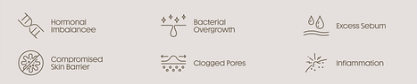 Skin Concerns: Hormonal Imbalance, Bacterial Overgrowth, Excess Sebum, Compromised Skin Barrier, Clogged Pores, Inflammation