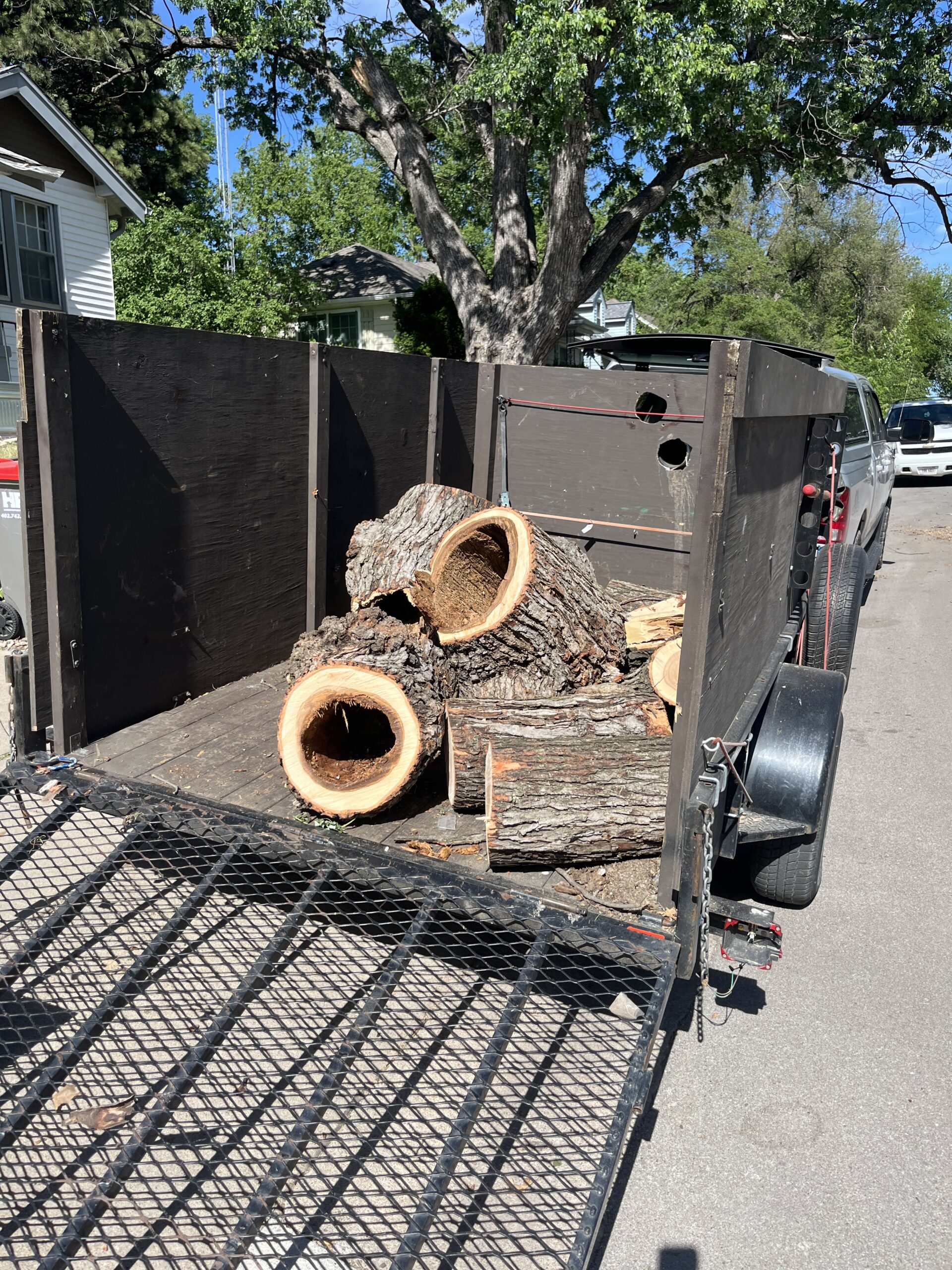 Storm Clean-up