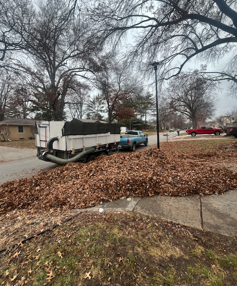 Leaf Removal & Clean-Up
