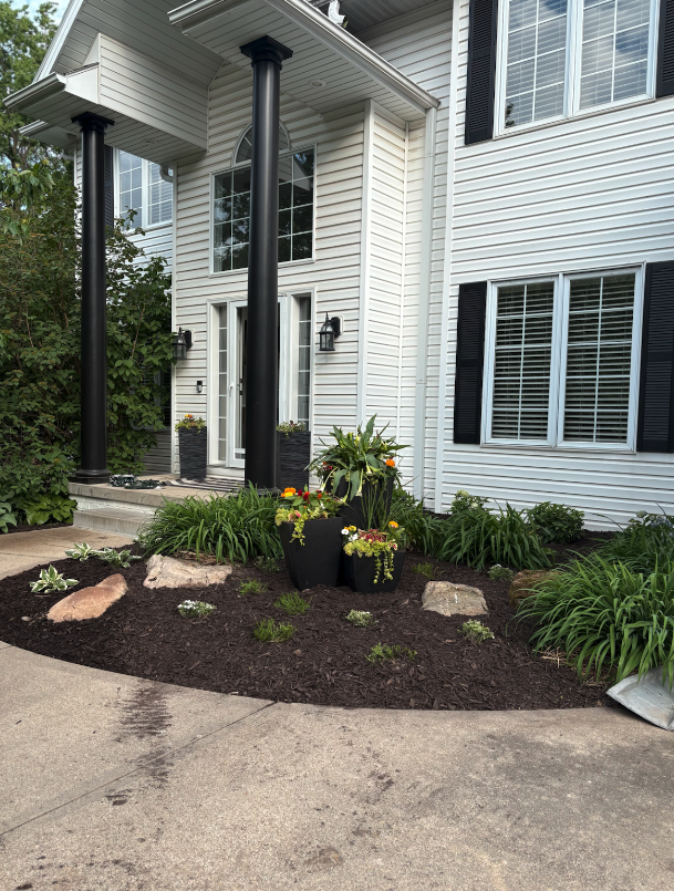 Landscaping Clean-up