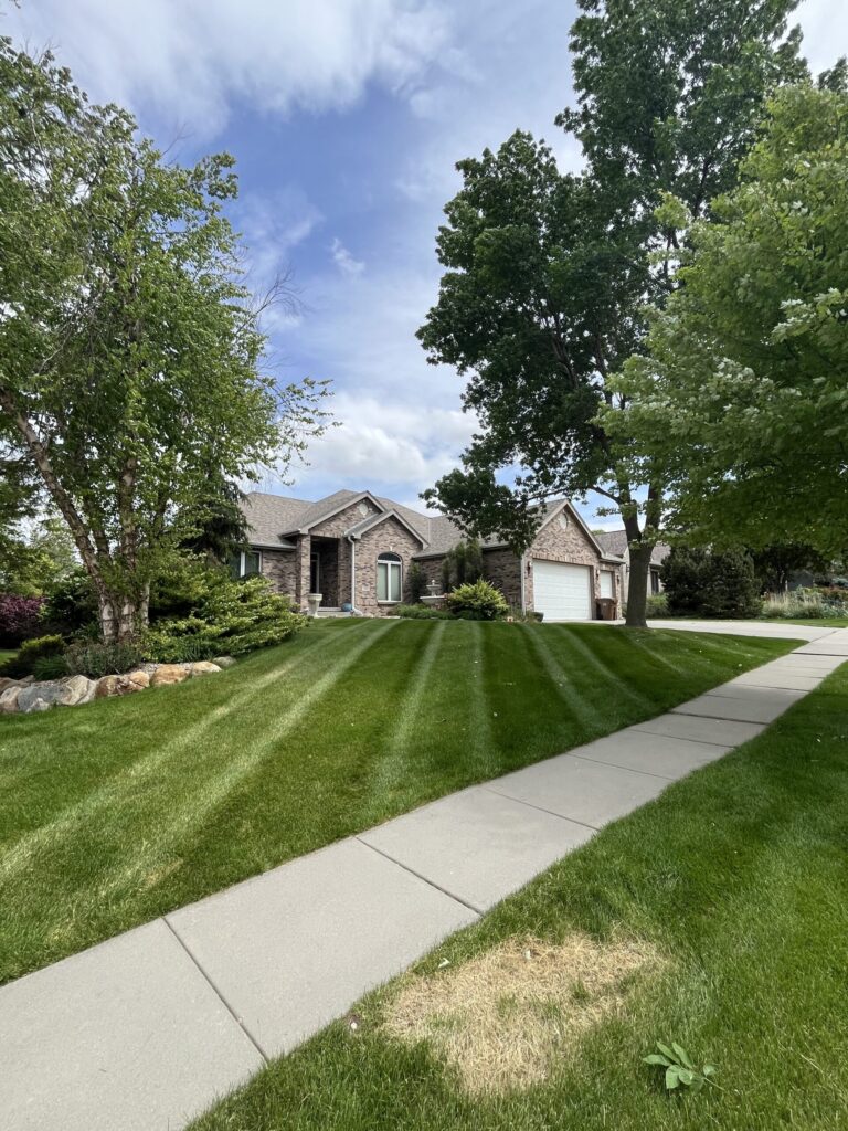 Beautiful Lawn