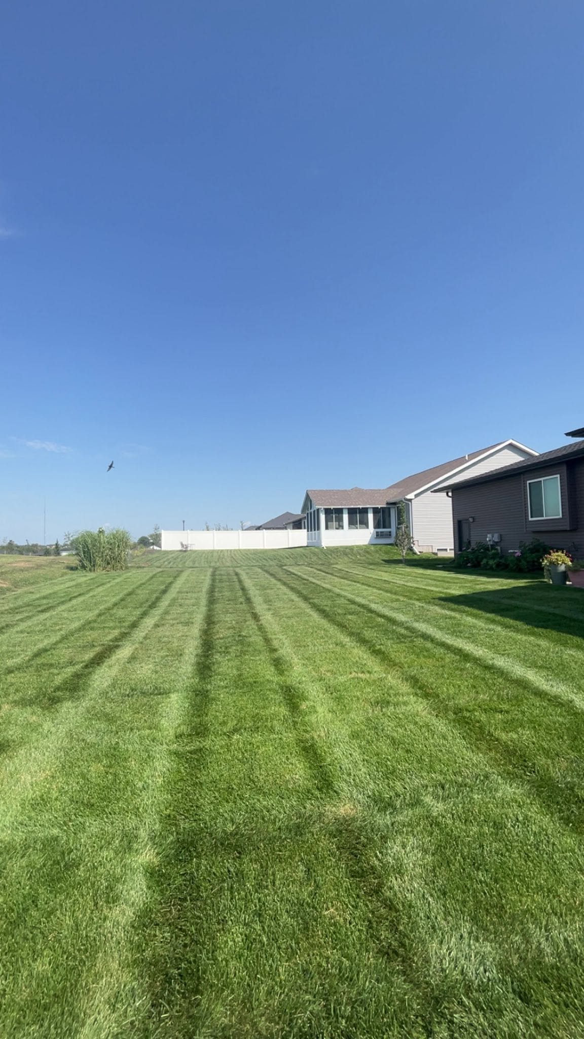 Beautifully striped residential lawn with white fence in Lincoln, NE