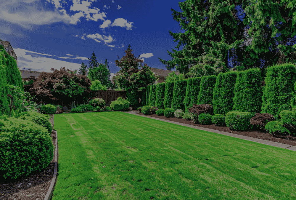 Landscaping case study