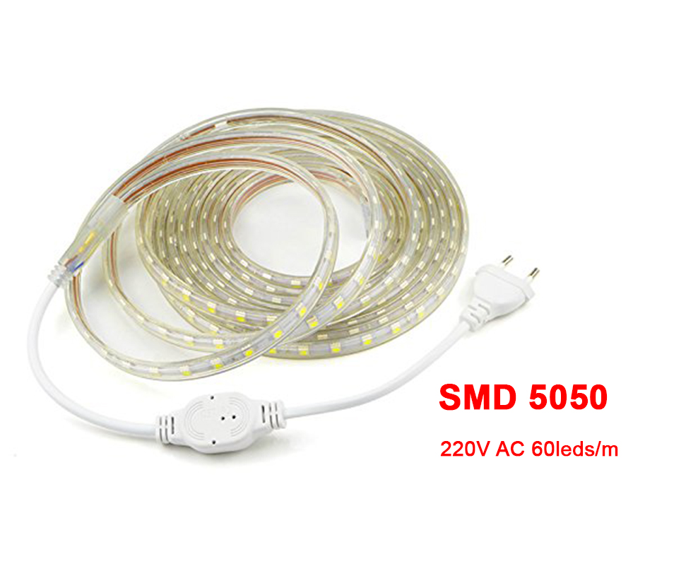SMD 5050 Waterproof Led Strip 1