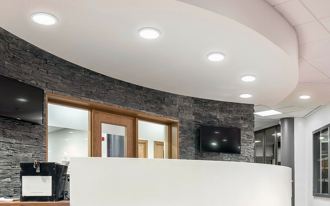 LED Downlight 4