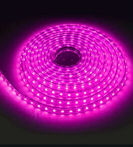 SMD 5050 Waterproof Led Strip 4