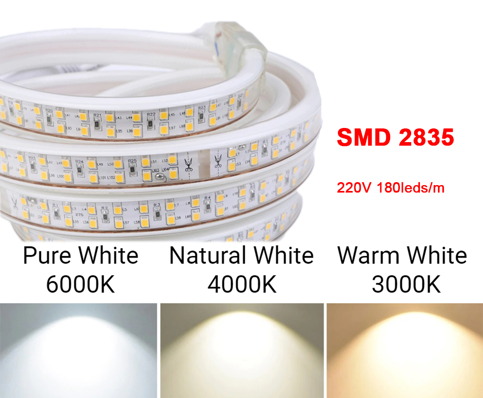 SMD 2835 Waterproof Led Strip 1