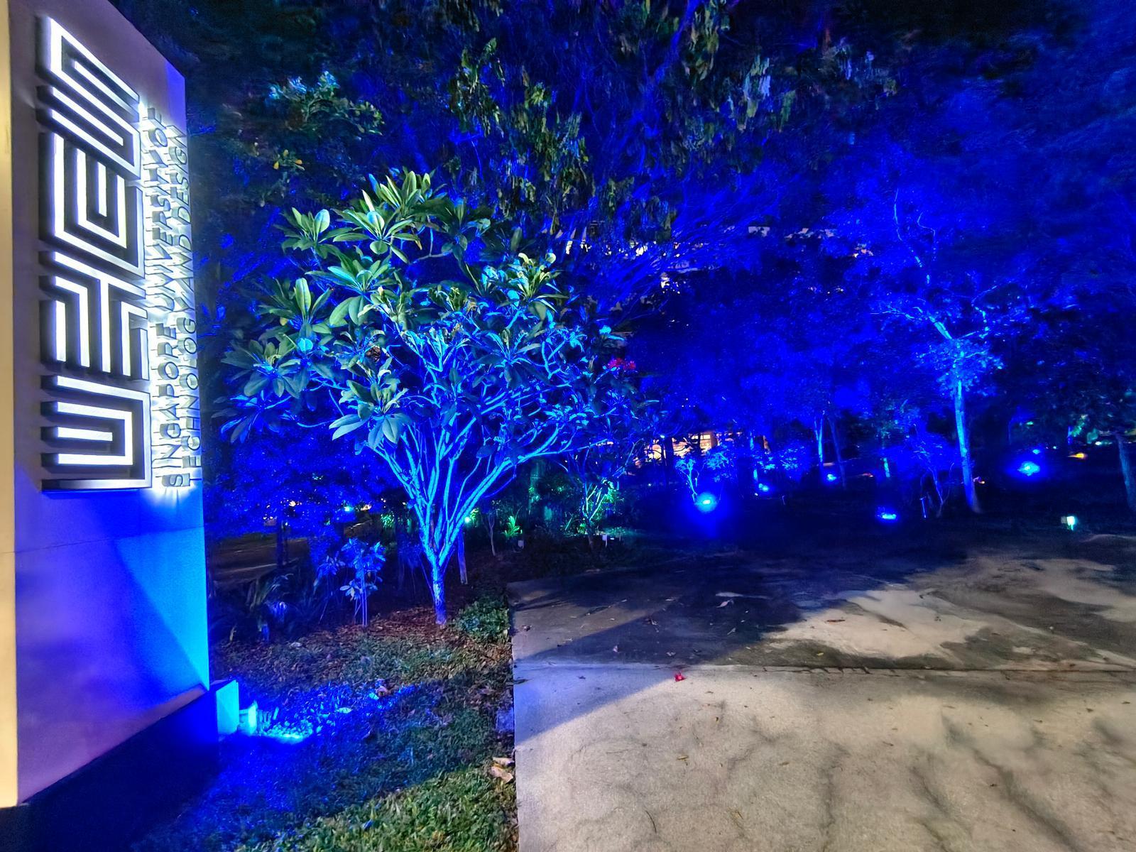 Floodlight landscape lighting