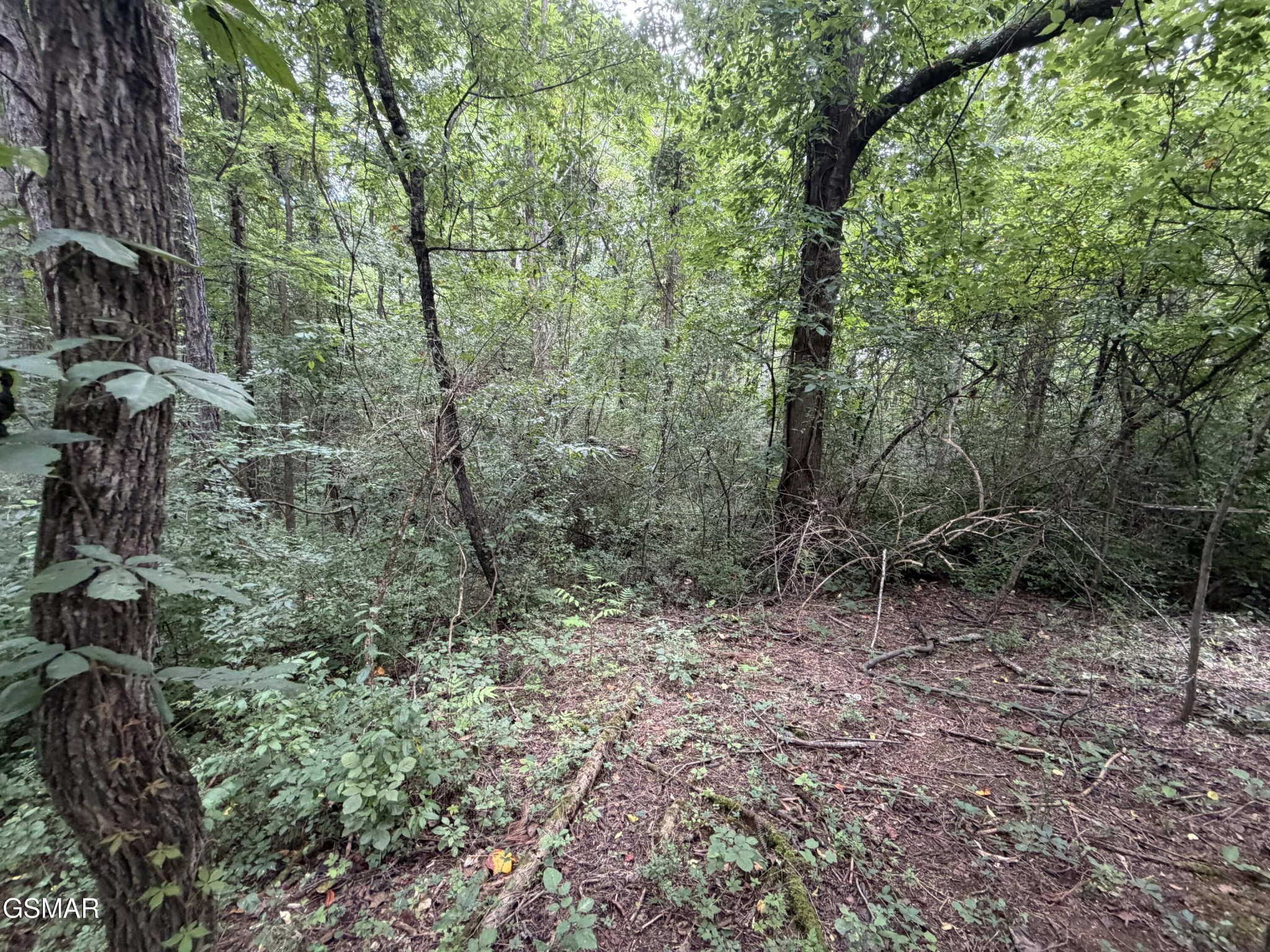 Lot 15 Sunrise Boulevard, photo 2 of 4