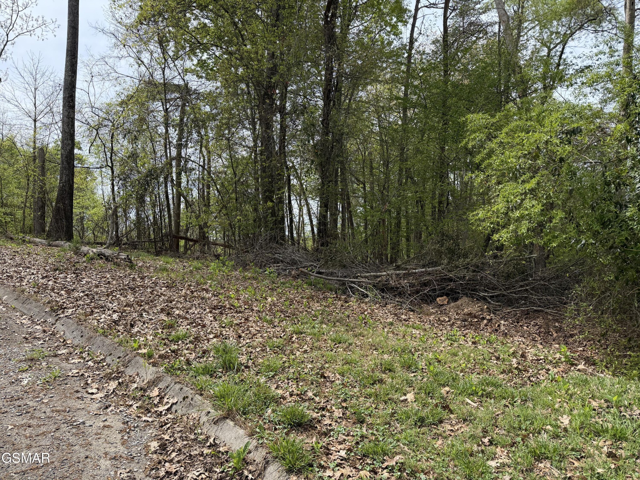 Lot 6 John Spears Way, Sevierville, TN 37876