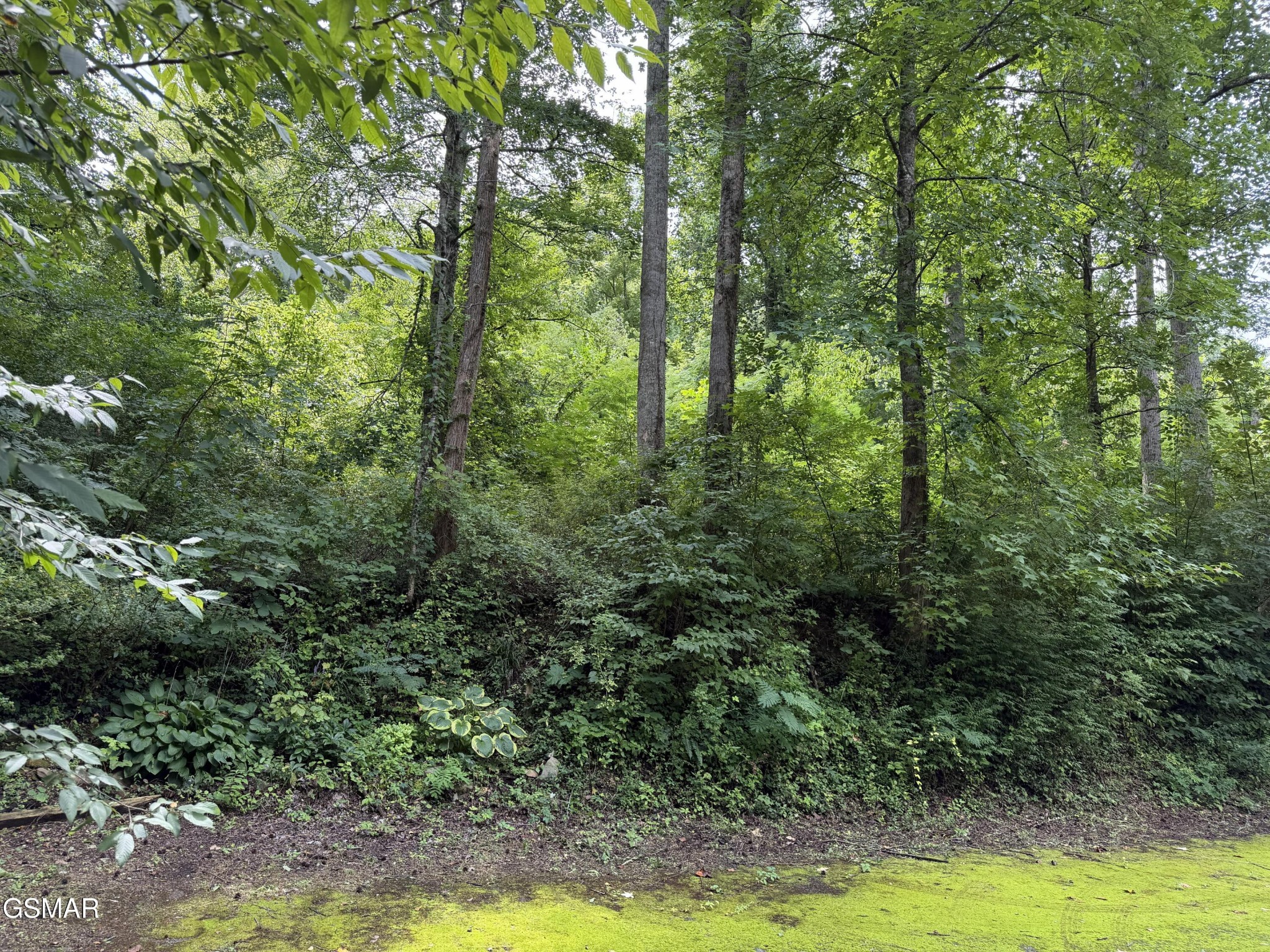 315 Hilltop Road (Lot 24), Gatlinburg, TN 37738