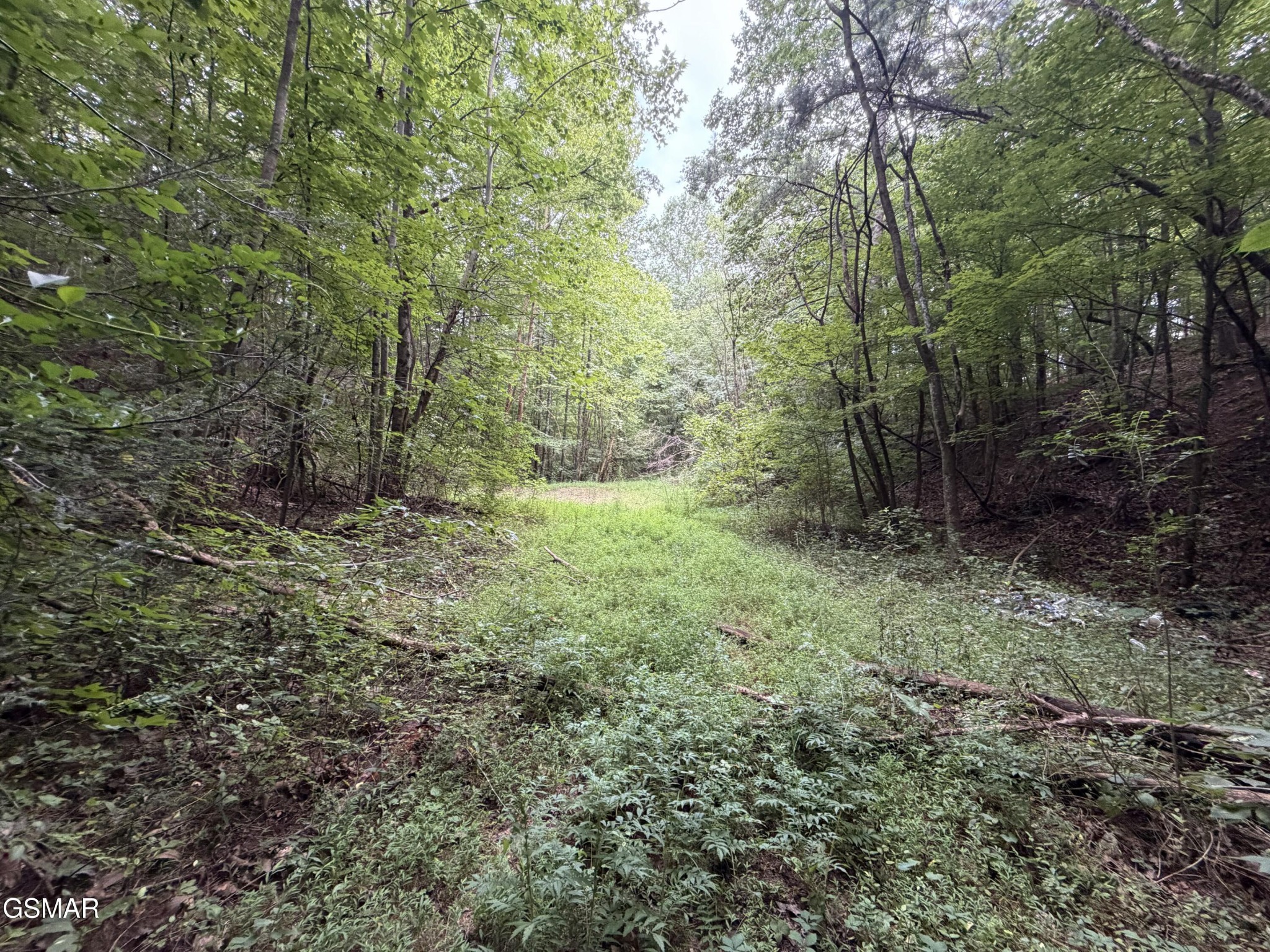 Lots 1-5 Forge Hideaway Road, photo 3 of 4