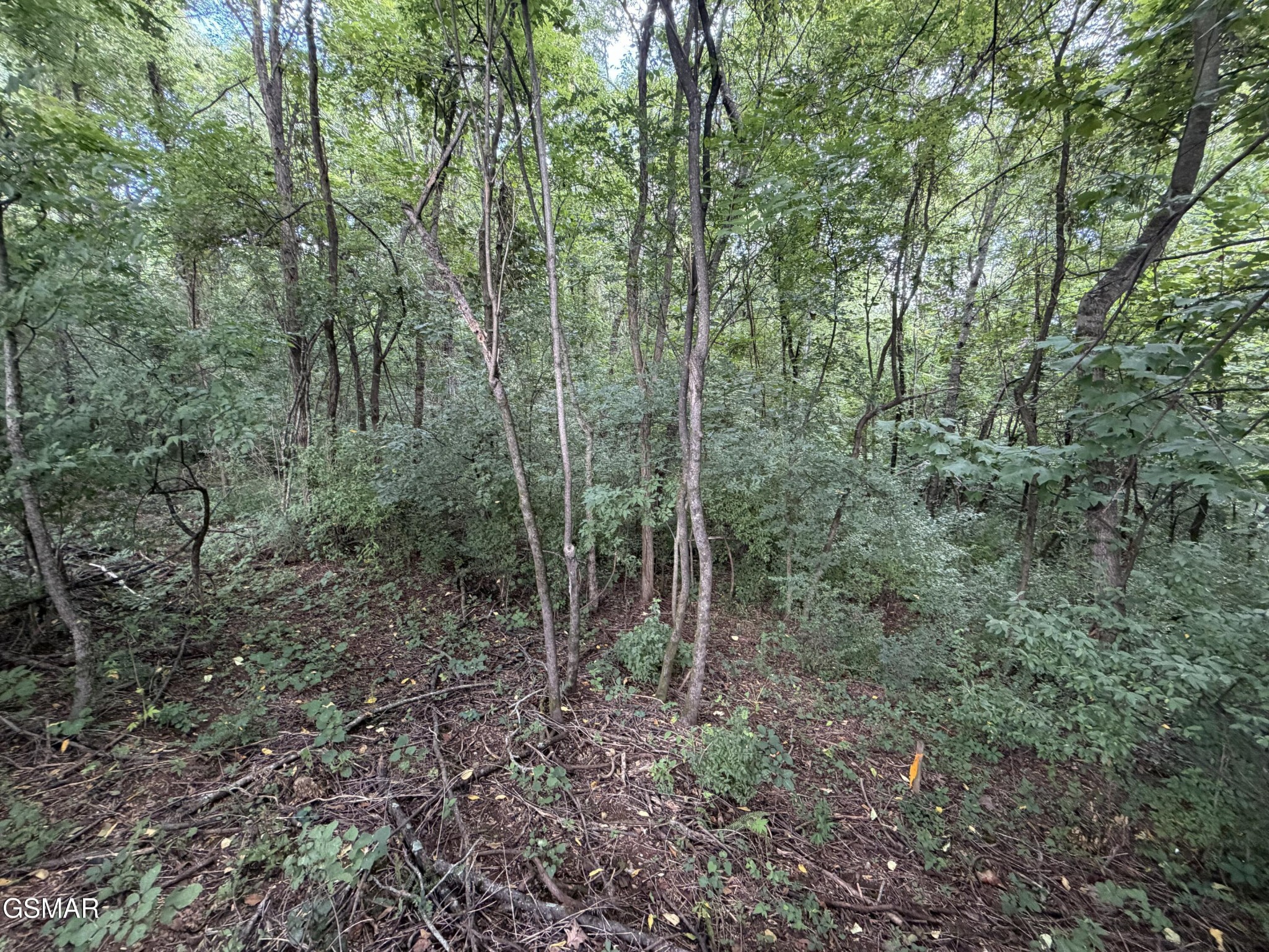 Lot 16 Sunrise Boulevard, photo 2 of 3