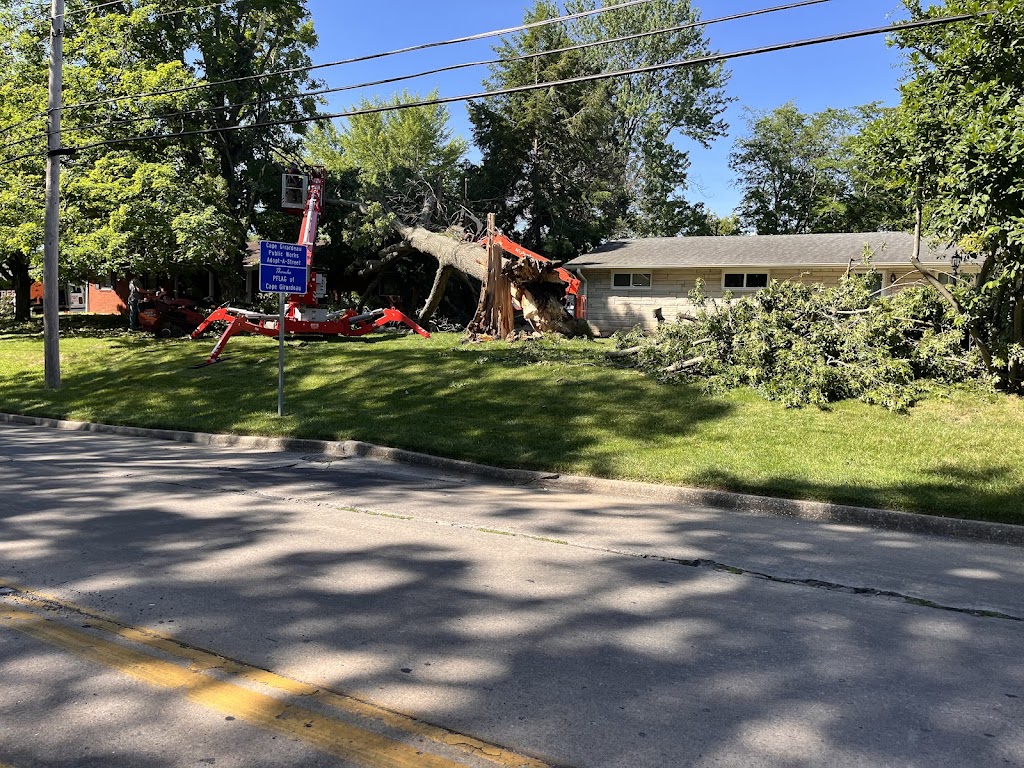 Tree Removal Services in Southern Illinois by Restoration Connection