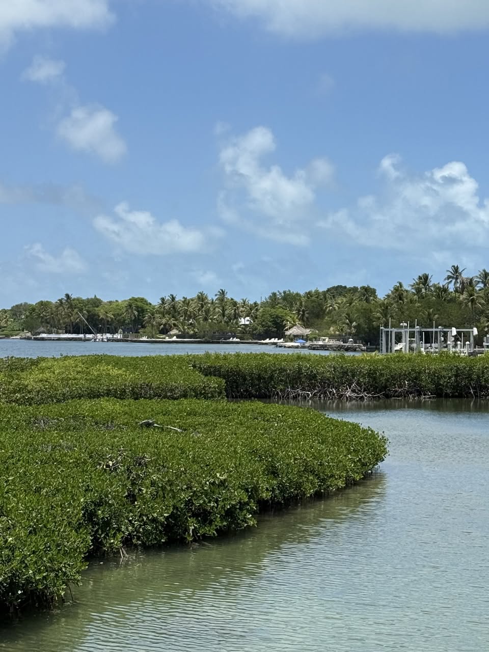 Casa Morada waterfront