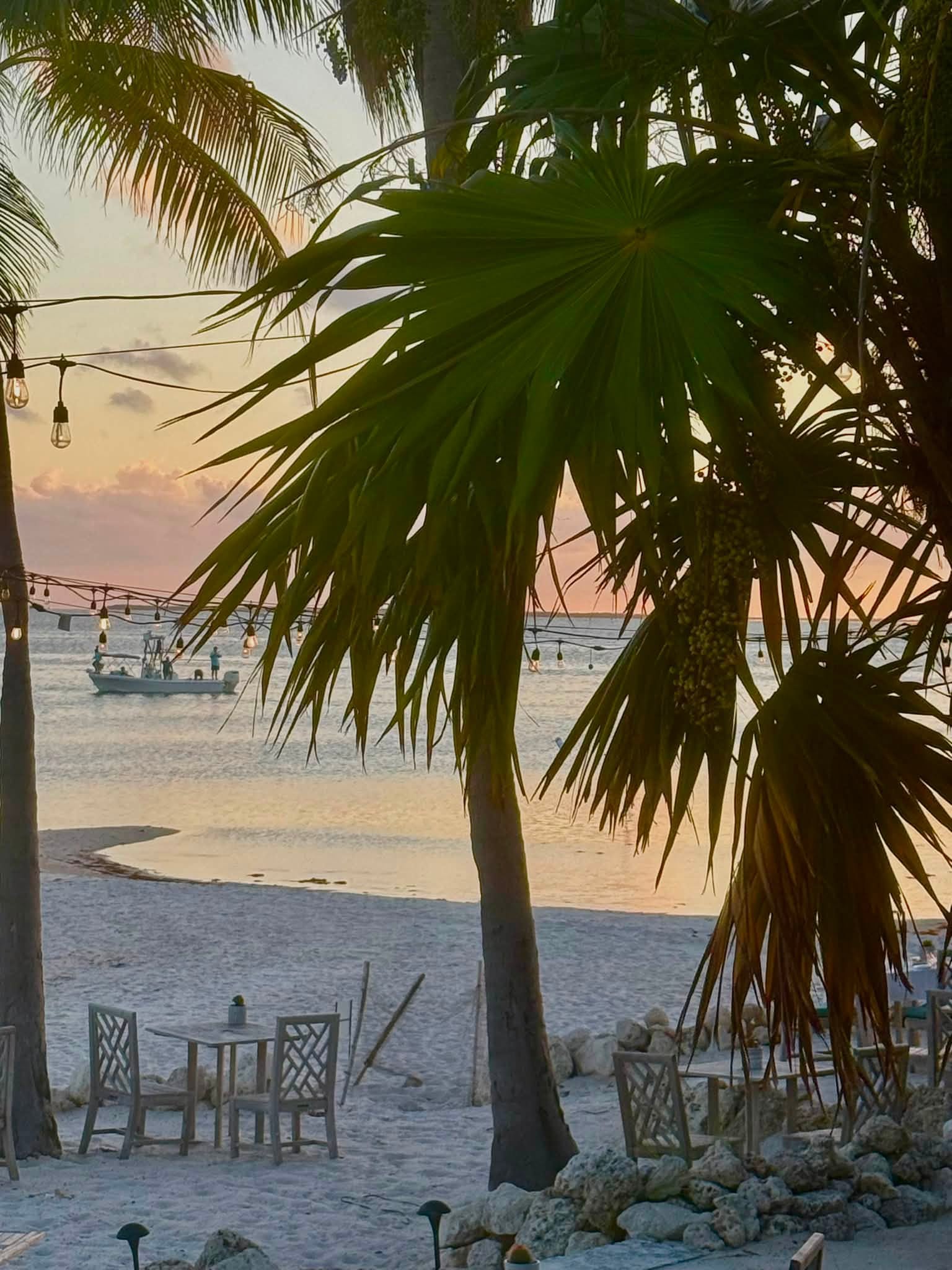 Tropical view from Little Palm Island
