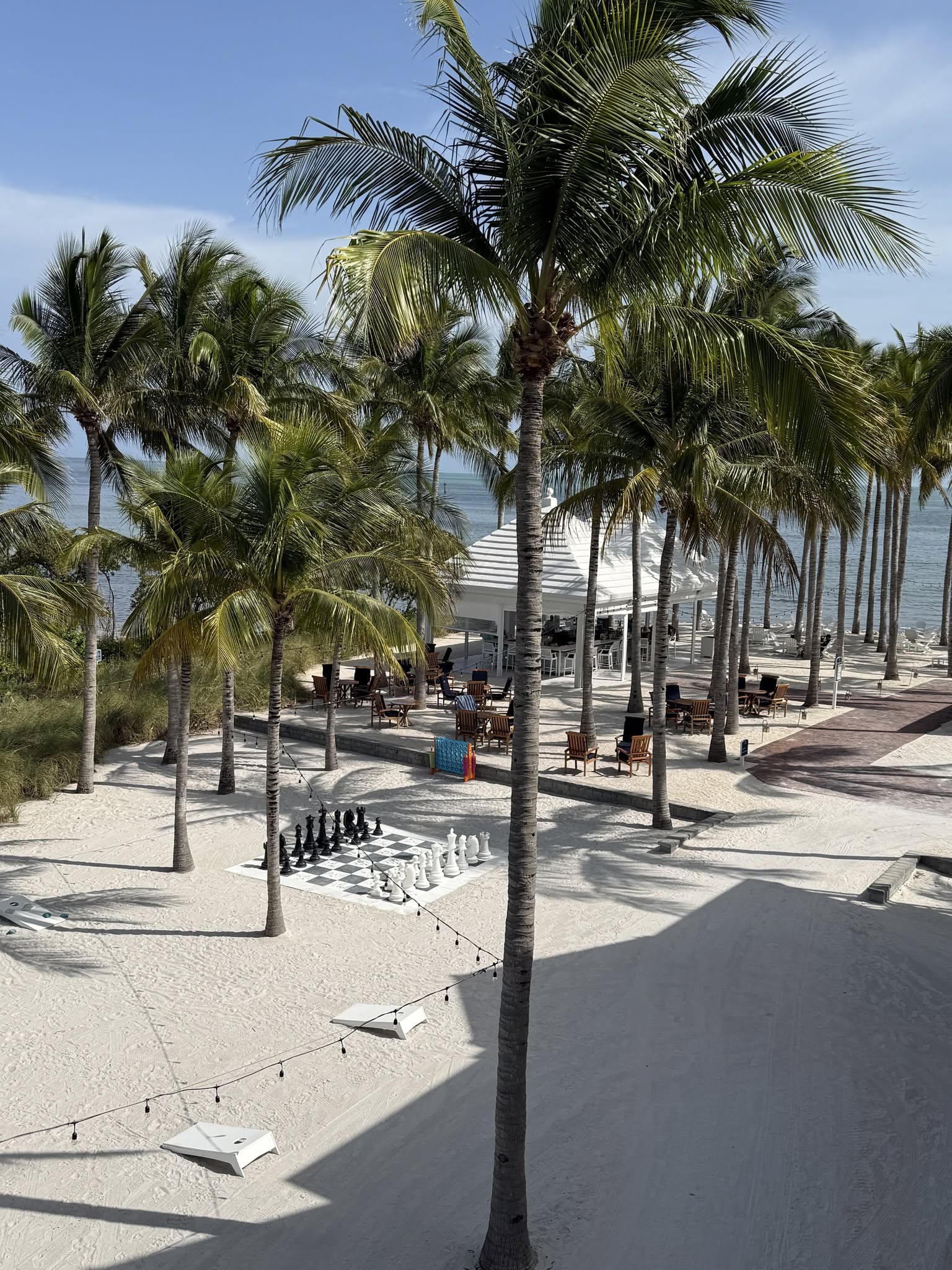Palm trees and giant chess board at Isla Bella