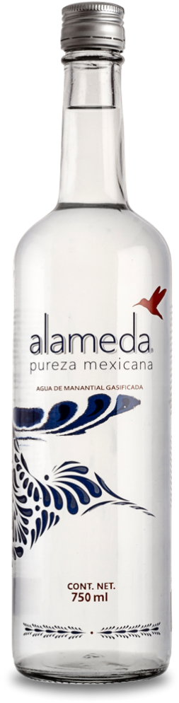 Agua Gasificada 750ml Vidrio