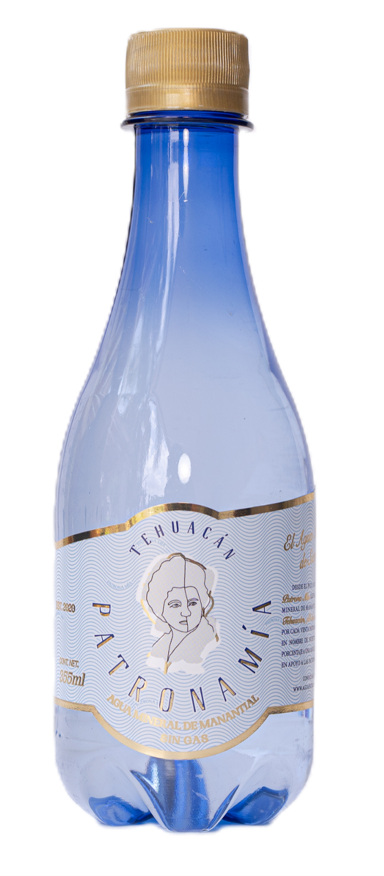 Agua Mineral Sin Gas 355ml PET