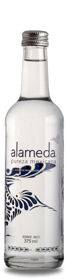 Agua Natural 375ml Vidrio