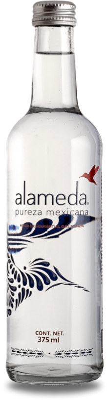 Agua Gasificada 375ml Vidrio