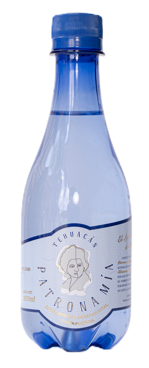 Agua Mineral Carbonatada 355ml PET