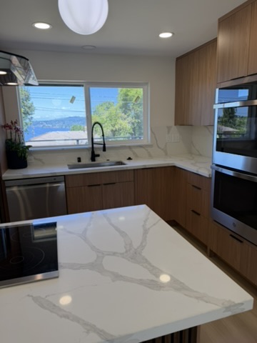 Modern Gourmet Kitchen Overhaul After