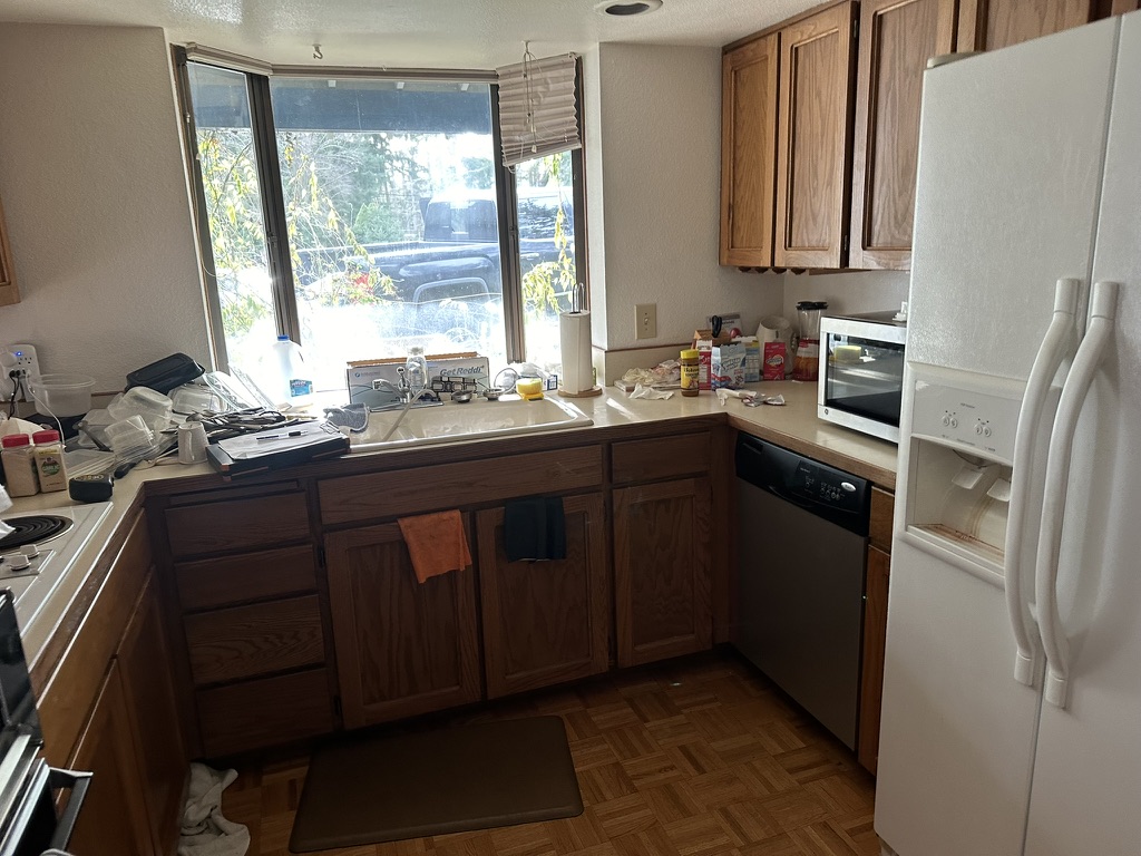 Modern Gourmet Kitchen Overhaul Before