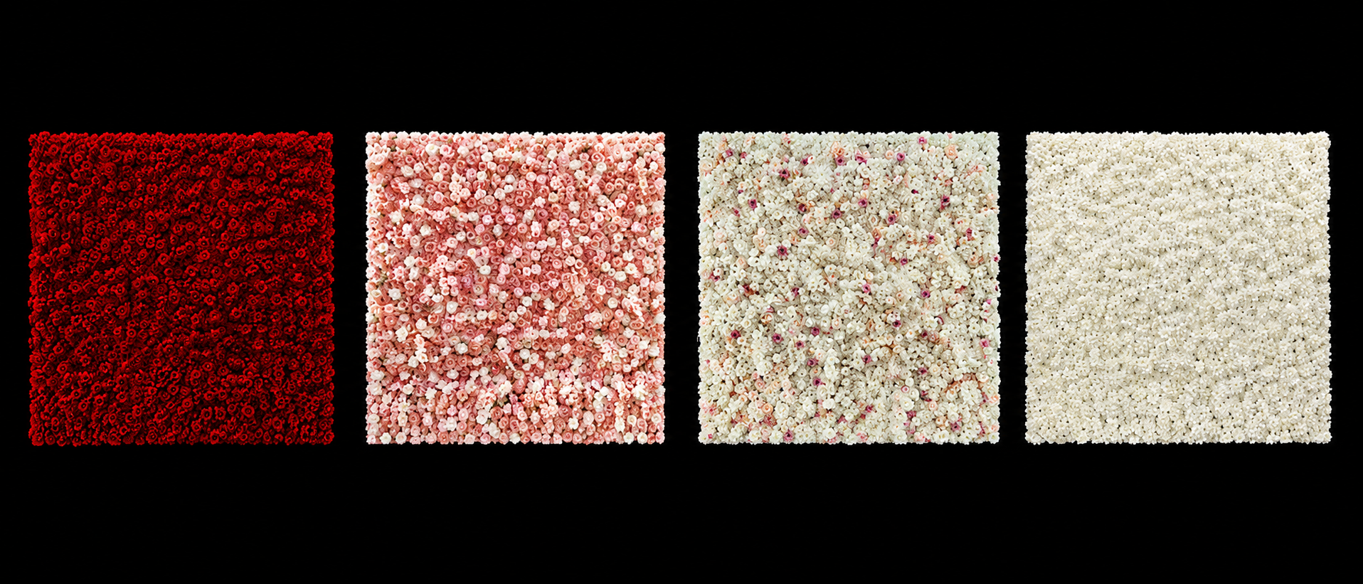 Four premium Flower Wall backdrop options available for Montreal events