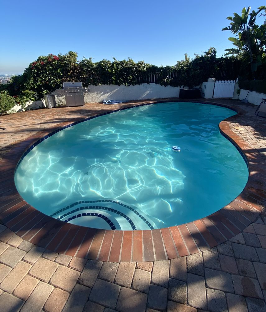 Pool and spa combo with balanced, swim-ready water in a South Bay backyard