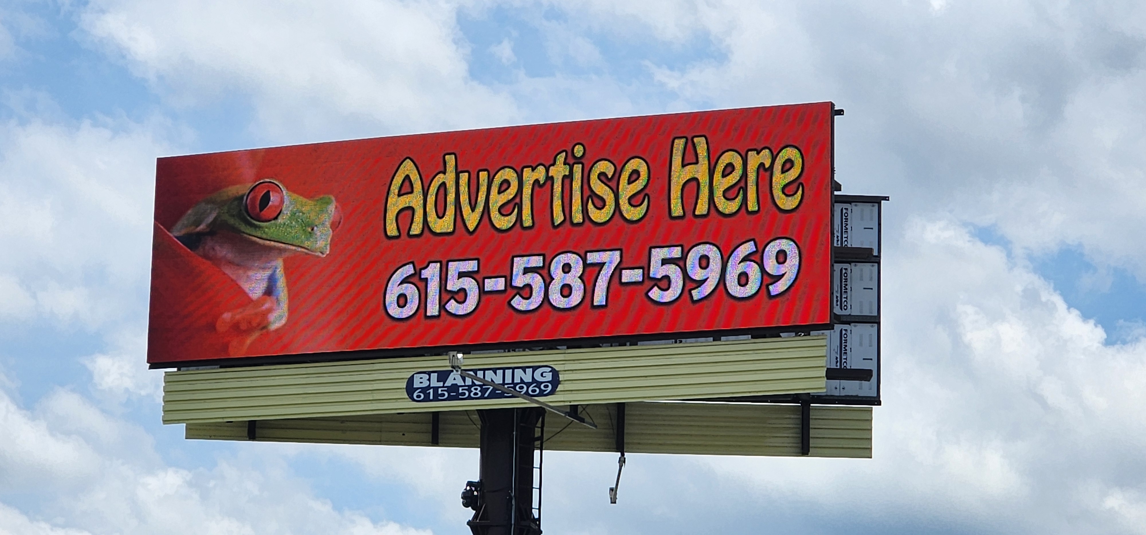 Frog Billboard