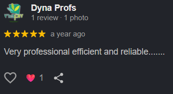Dyna Profs