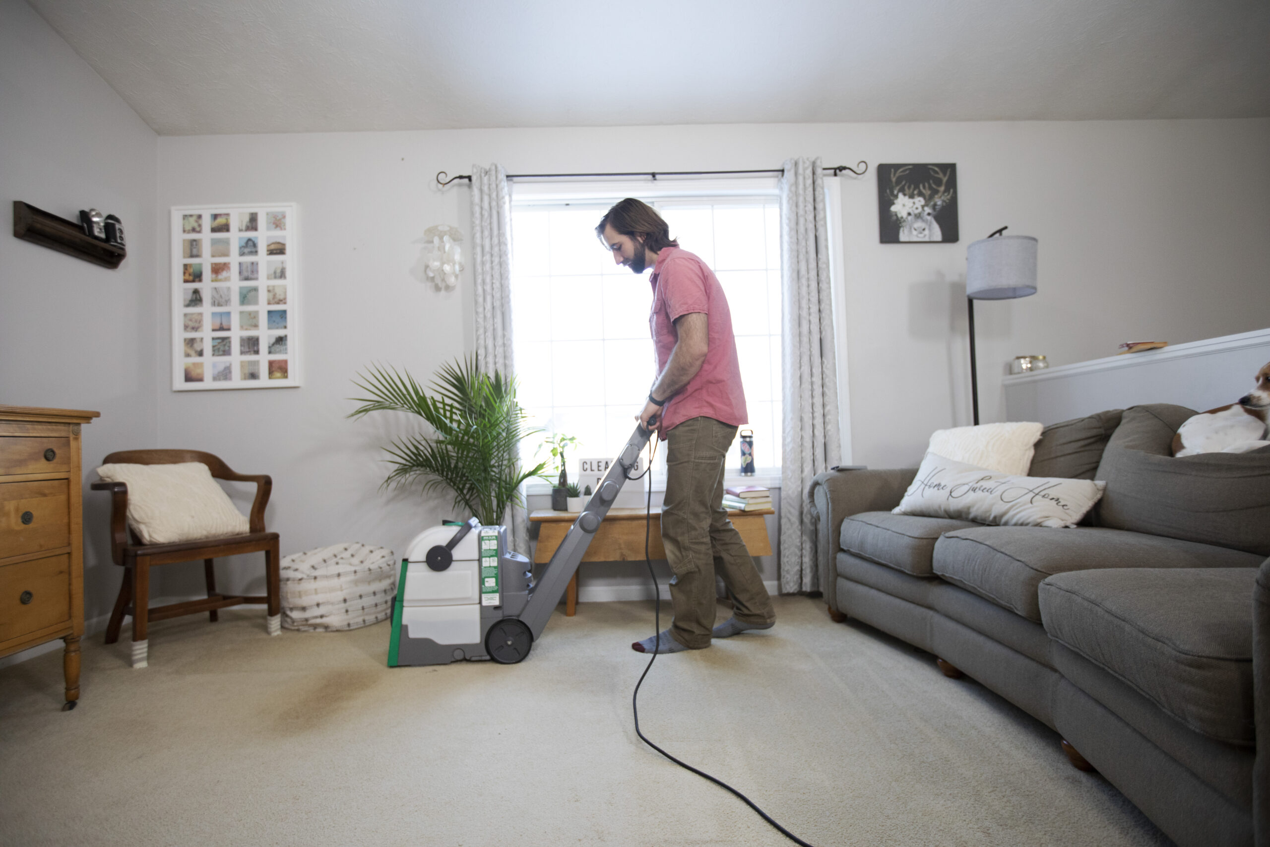 Hot water extraction vs steam cleaning: what's really happening